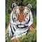 Royal & Langnickel® Painting by Numbers™ Artist Canvas Series Tiger in Hiding Kit